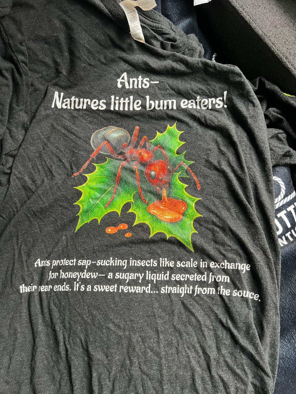 Close view of the colorful Ant design and white explanatory text on Chris’s dark shirt.